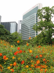 Hama-Rikyu Sunken Garden