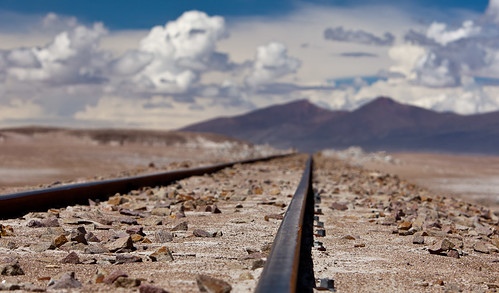 Tracks In the Altiplano #3