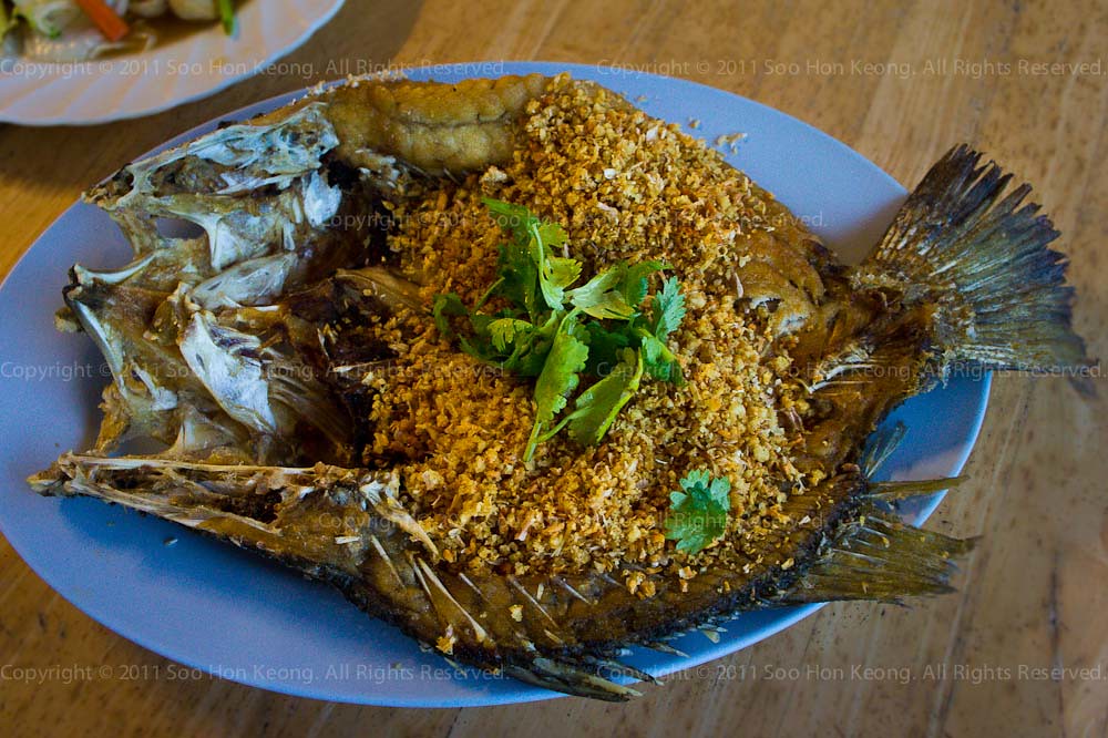 Fried Fish Garlic @ Cha Am, Thailand