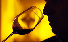 Diez vinos recomendados que no podés dejar de probar este año