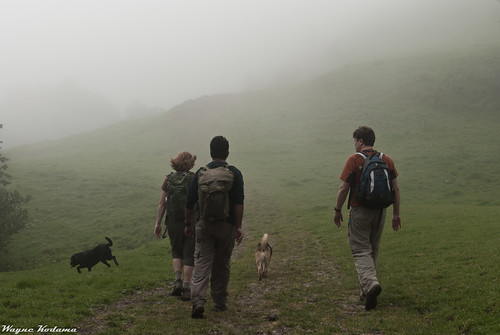 Hiking into the Fog