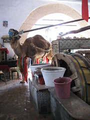 2011-01-tunesie-130-kairouan-medina-bir barouta