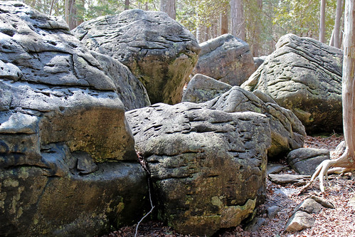 Jones Falls Mini-hike - Boulders