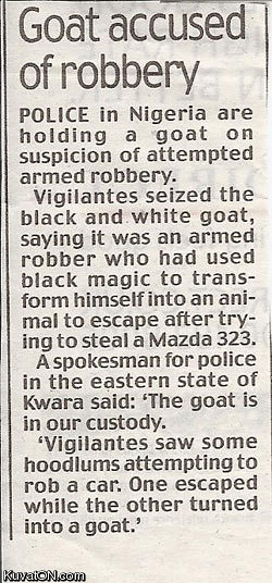 goat_accused_of_robbery