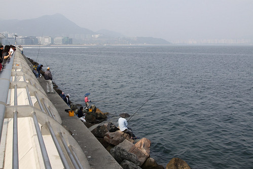 Fishing from the Tolo Harbour promenade at Ma On Shan