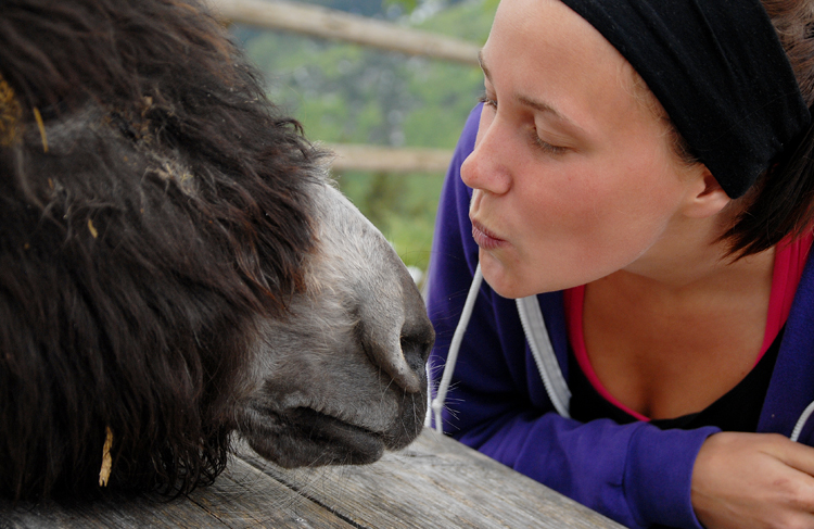 Erica and donkey, Innsbruck