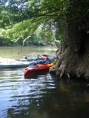 Saluda River Paddle-53