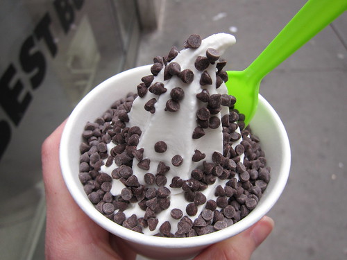 Vanilla Fro-yo with Chocolate Chips