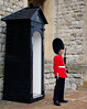 DSC07041 London Royal Guard