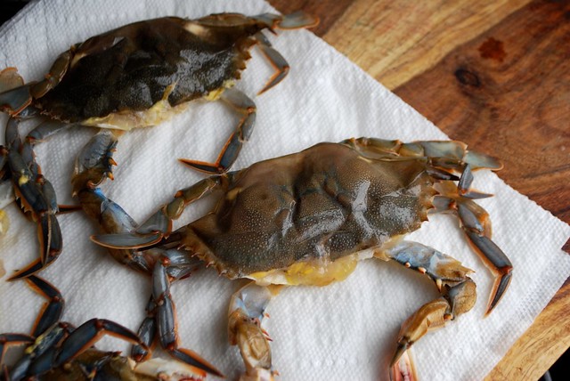 raw soft-shell crabs