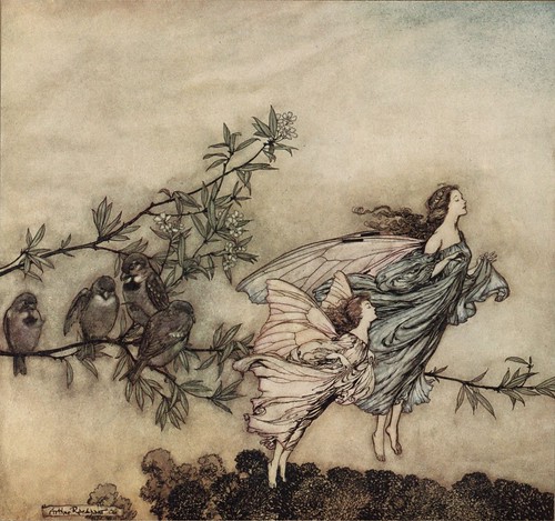 Peter Pan - The fairies have their tiffs with the birds.12