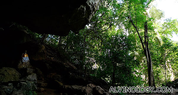 Lots of greens around the cave
