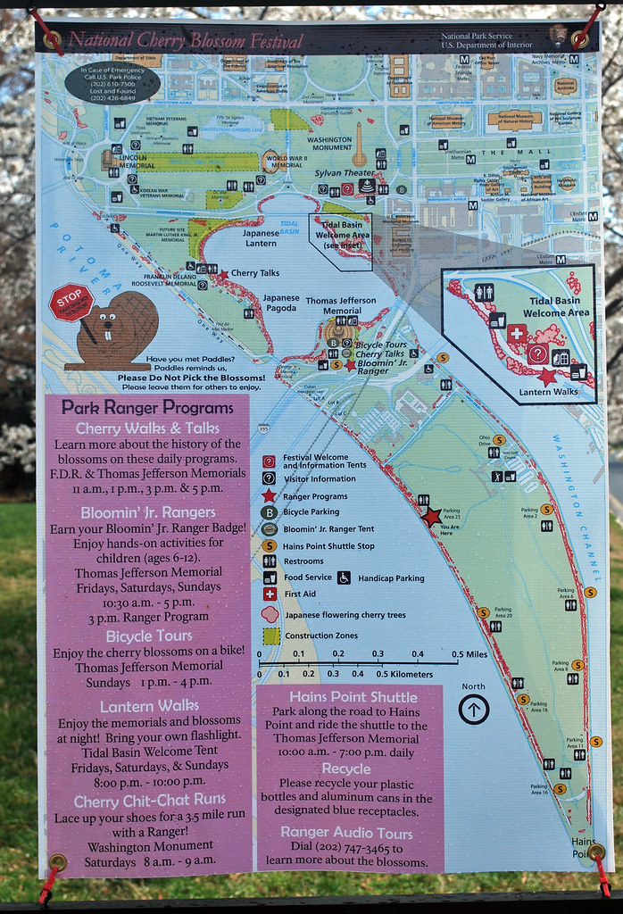 Cherry Blossom Map