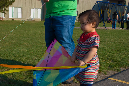 Watching the kite flutter
