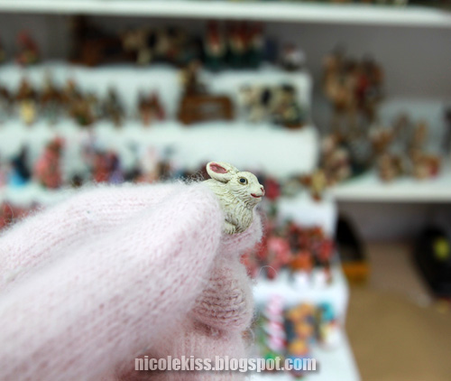 miniature rabbit