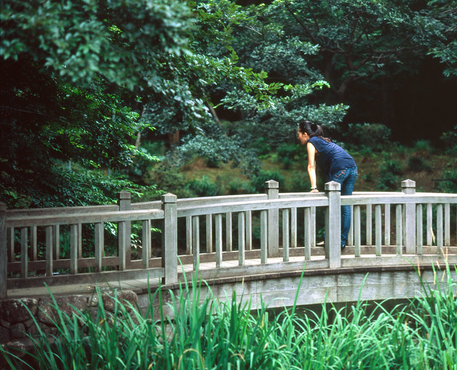 公園の木橋