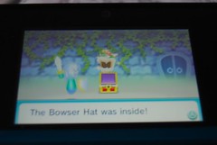Bowser Hat