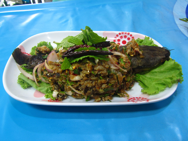 spicy catfish salad (larb pla duk ลาบปลาดุก)