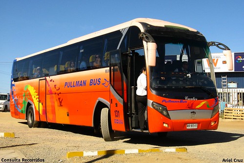 Pullman Bus | Zhong Tong Creator / WX8541