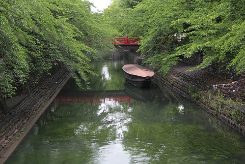 Pretty River in Ohgaki, Gifu 岐阜県大垣のきれいな川