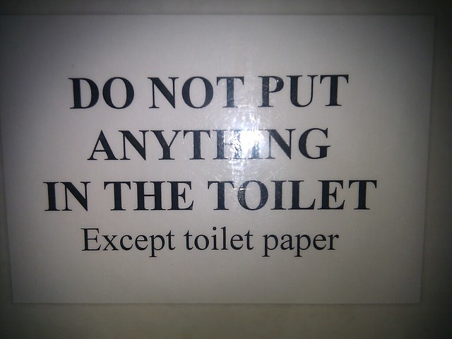 do not put anything in the toilet