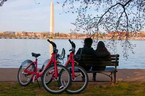 Capital Bikeshare and Blossoms Seated