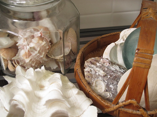Shells in Candy Jars and Baskets