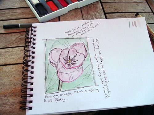 Sketch of a tulip