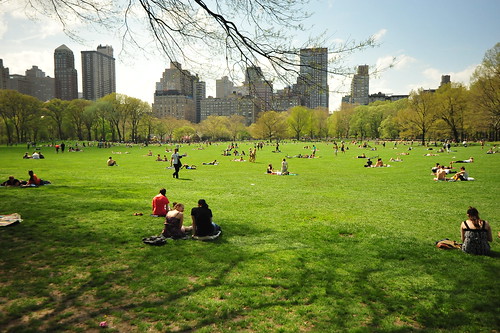 new york central park spring. CENTRAL PARK IN SPRING 2011 - Manhattan, New York City - 04/26/11. CENTRAL PARK IN SPRING 2011 - Manhattan, New York City - 04/26/11