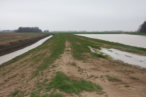 This reservoir and drainage ditch are part of a water recycling system in place on Shivers Farm to reduce the amount of sediments that run into the Sunflower River, a tributary of the Mississippi River. 