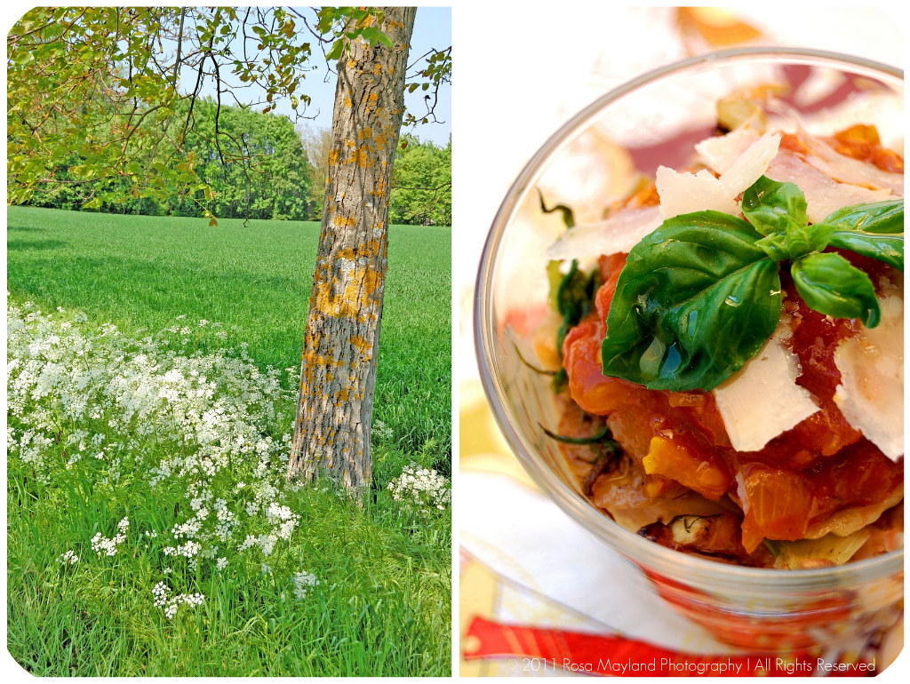 Chickpea Salad Picnik collage 3 bis