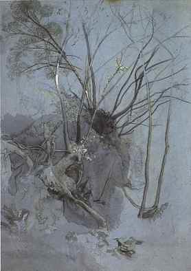 tree study by john ruskin 1845