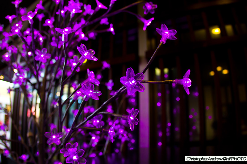 purplelights