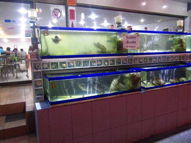 Kuang Sea Foods, Bangkok, Thailand