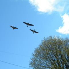 Three commuters fly overhead