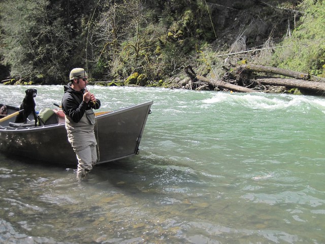 Middle Fork of the Willamette Fly Fishing