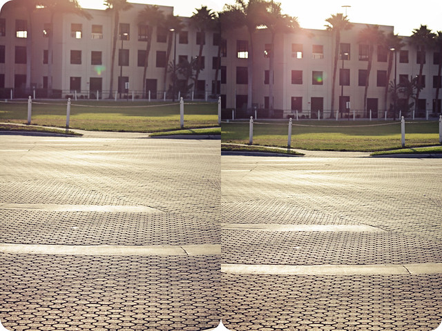 afternoon crossing diptych