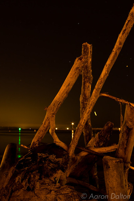 Driftwood Scuplture at Night