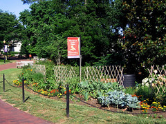 the educational garden near Cox Hall (by: Anne G, creative commons license)