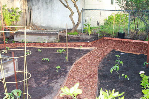 Planted Garden 4 by zostra