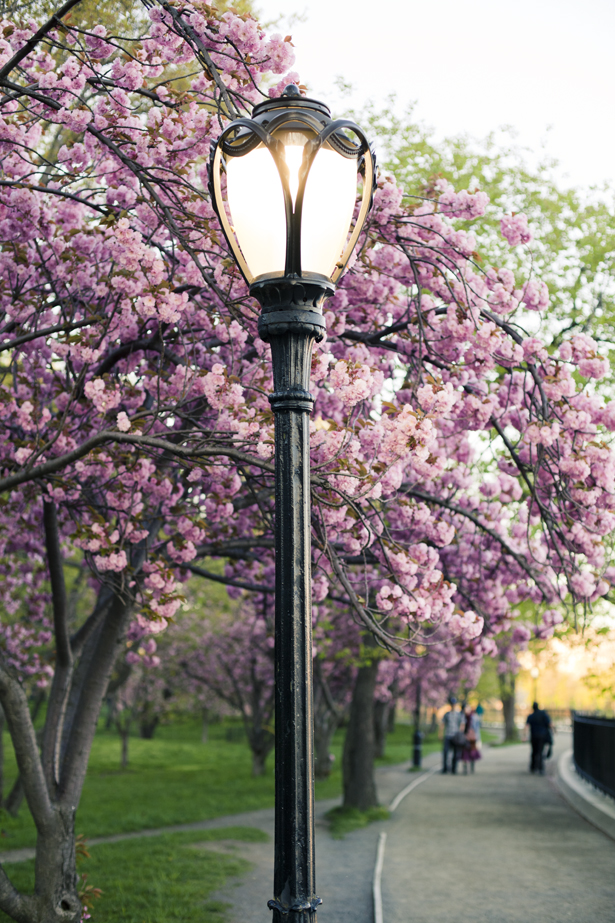 Цветущие парки - Central Park