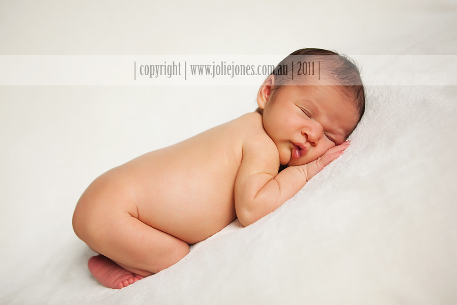 canberra act newborn photographer photography