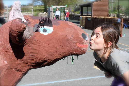 A kiss for a cow