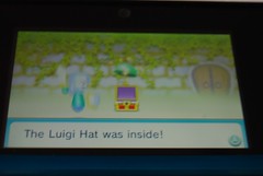 Luigi Hat