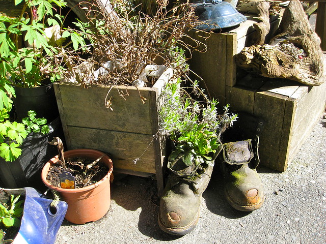 Boots Pots 02