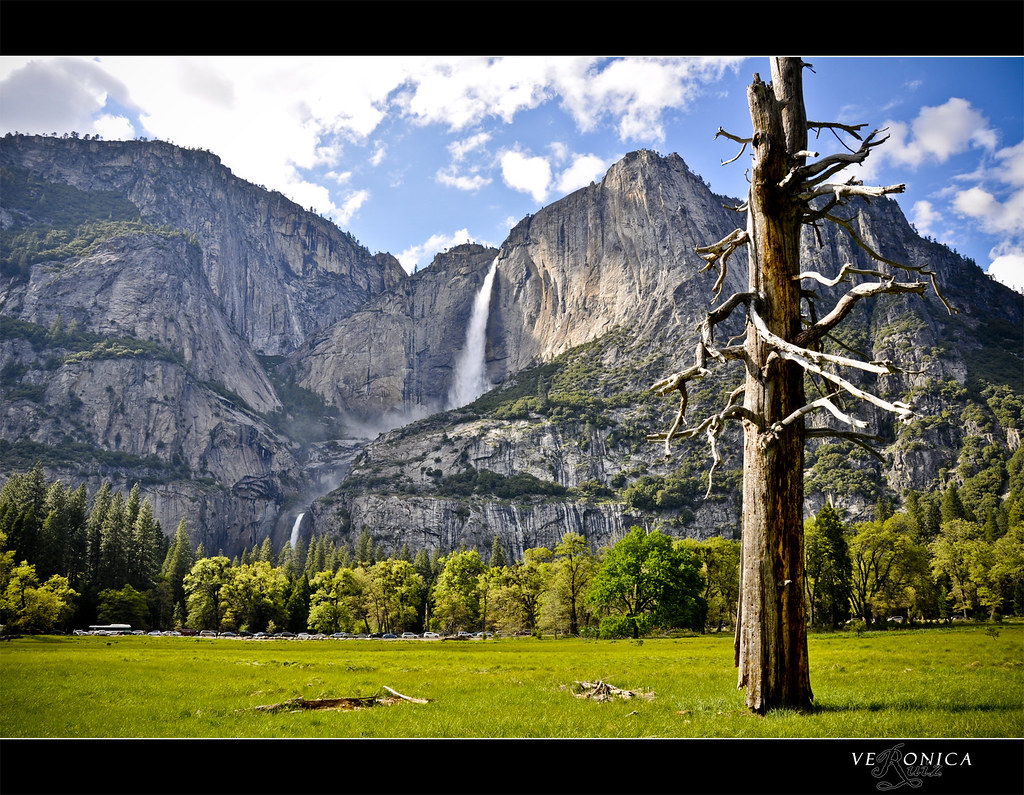 Day 2 -- Yosemite