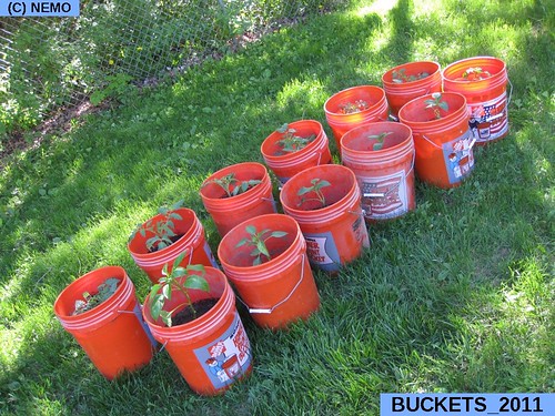 buckets_2011