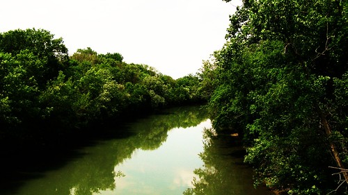 The north branch of the Chicago River,  Evanston Illinois USA. June 2011. by Eddie from Chicago