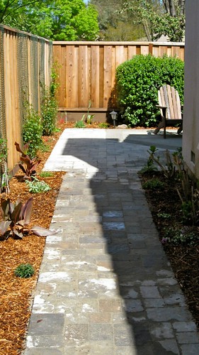 Path to the Patio- Done