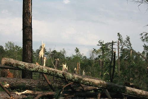 Tornado damage at Staunton River State Park April 16, 2011